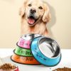 Stainless steel dog bowl; color anti-skid dog bowl; cat bowl - 16cm - Green Cartoon