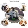 Pet Dog Toy Interactive Rubber Balls Pet Dog Cat Puppy Chew Toys Ball Teeth Chew Toys Tooth Cleaning Food Balls Hond Spel - Green-6cm