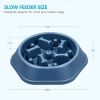 Pet Dog Bowl Dog Slow Feeder Bowl Puppy Cat Slow Eating Dish Bowl Anti-Gulping Food Plate Feeding Dog Cat Food Bowl Pet Supplies - Green