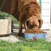 Multi Print Stainless Steel Dog Bowl By Bella N Chaser - as Pic