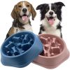 Pet Dog Bowl Dog Slow Feeder Bowl Puppy Cat Slow Eating Dish Bowl Anti-Gulping Food Plate Feeding Dog Cat Food Bowl Pet Supplies - Green