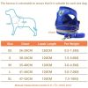 Summer Strap-style Dog Leash Adjustable Reflective Vest Walking Lead for Puppy Polyester Mesh Harness Small Dog Collars - blue - M